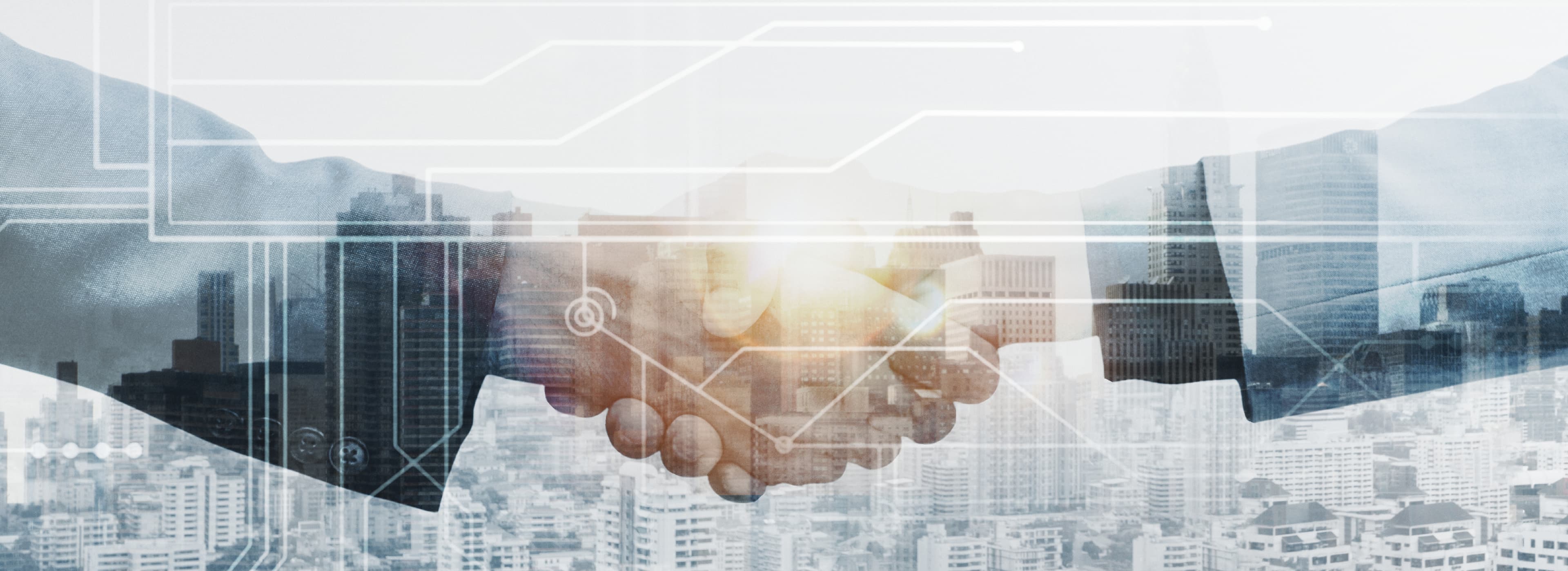 Partner background